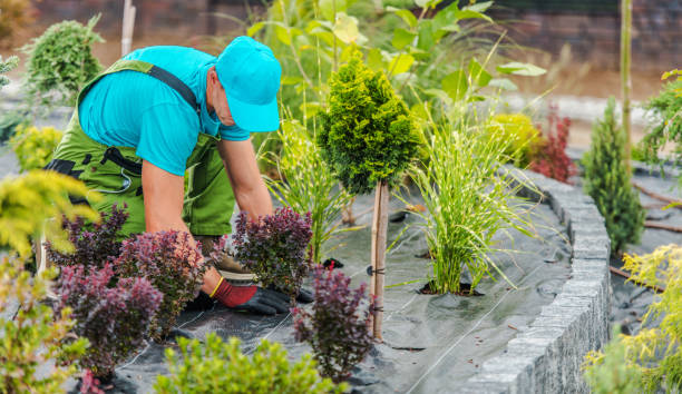 landscapers